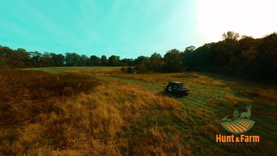 Still 2025-11-29 081237_1.61.1.jpg